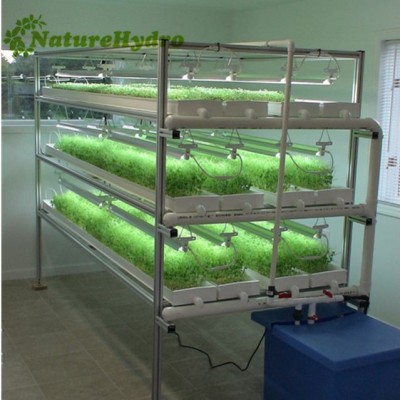 Best Quality China Manufacturer Commercial Bean Sprout Equipment Sprouting Seeds Growing Machine