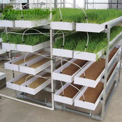 Hot selling hydroponics system vertical