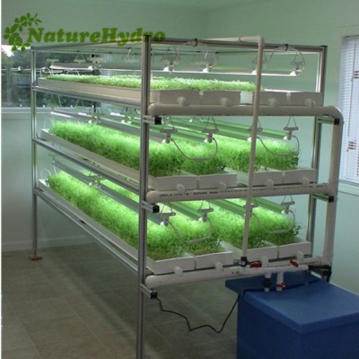 Cheap Price Hydroponic Fodder Solutions System