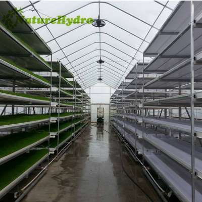 high quality  microgreen growing system